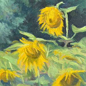 Fields Aglow by Jennifer Howard