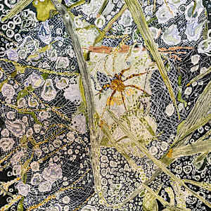 Grass, Web and Raindrops by Alexandra Treadaway-Hoare