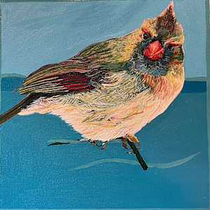 Female Cardinal on Teal by Jamie Downs