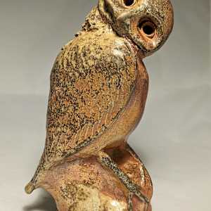 Burrowing Owl by Nancy Jakubowski