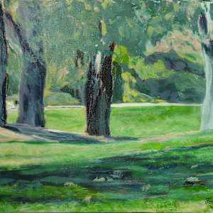 In the Shade by Janet Fox