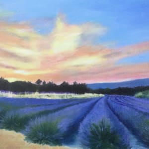 Lavender Sunset by Barbara Mandel