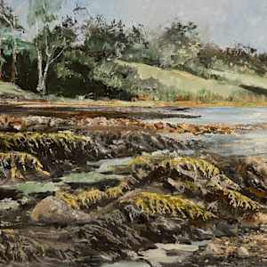 Low Tide, Maine by Dave Allen