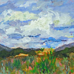 New Mexico Sky by Cathy Hirsh