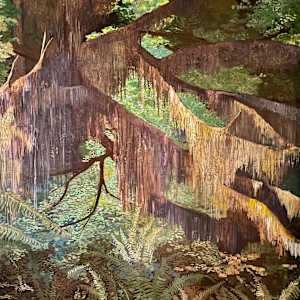 Rain Forest by Dave Allen