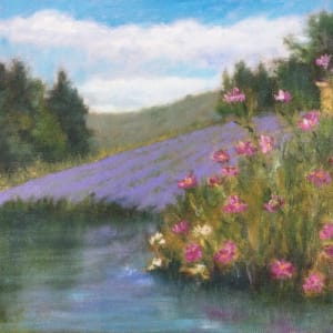 Soleado Lavender Farm by Barbara Mandel