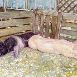 2 Pigs – No Blankets by Vicky Surles