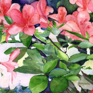 Azaleas by Vicky Surles