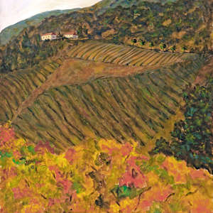 Vineyards by Cathy Hirsh