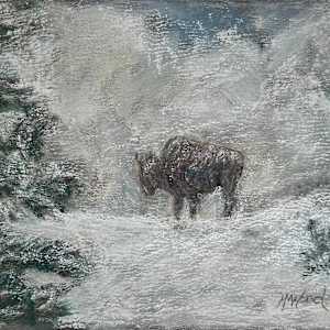 Yellowstone Winter by Helen Wood