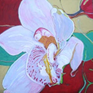 Kensington Orchid by Jamie Downs