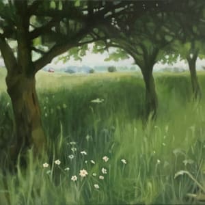 Meadow Walk by Patrick Sieg