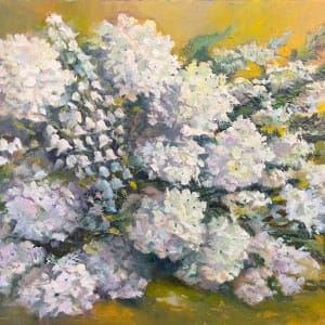 "May Whites" by Rabecca Jayne Hennessey