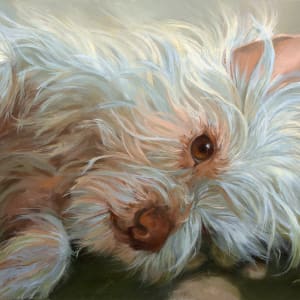 Cooper