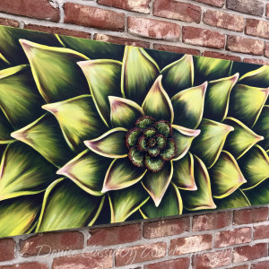 Succulent #586 by Denise Cassidy Wood 