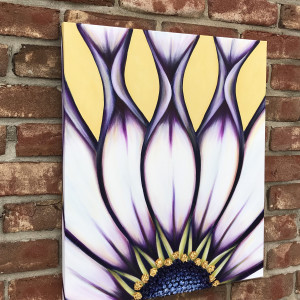 African Daisy #587 by Denise Cassidy Wood 