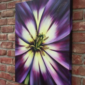Plum Tulip by Denise Cassidy Wood 