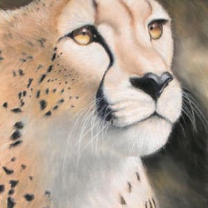 Intensity - Cheetah by Linda Merchant Pearce
