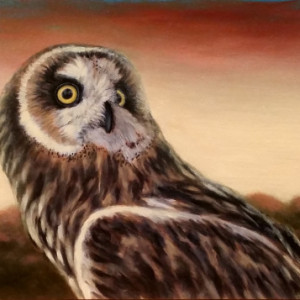 Owl at Sunset - SOLD by Linda Merchant Pearce