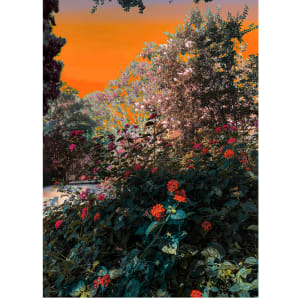 Life is now changing