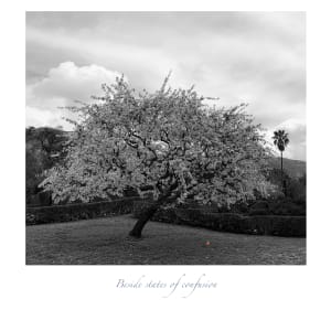 Beside States Of Confusion