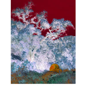 A fool's gold to find