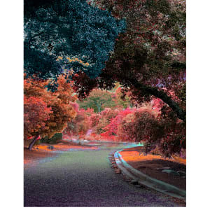 River trolls, pundits of fear