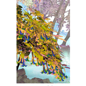 Trumpeting the shore