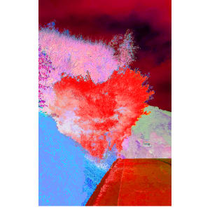 Trusting no one forever