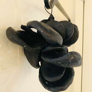 BLACK CLUSTER 4 by STEPHANIE HARGRAVE 