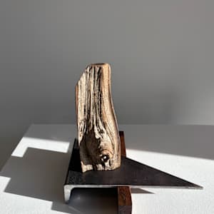 Dave Hargrave:  BINARY 6 by STEPHANIE HARGRAVE 