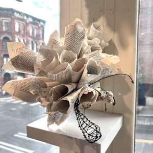 SIPHONOPHORA 3 by STEPHANIE HARGRAVE 