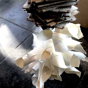 SIPHONOPHORA 1 by STEPHANIE HARGRAVE 