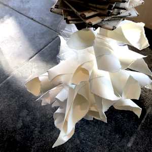 SIPHONOPHORA 1 by STEPHANIE HARGRAVE 