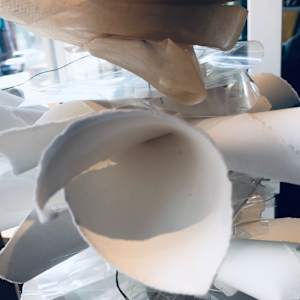 SIPHONOPHORA 1 by STEPHANIE HARGRAVE 