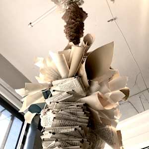 SIPHONOPHORA 1 by STEPHANIE HARGRAVE 