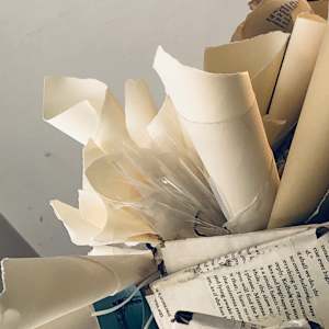 SIPHONOPHORA 1 by STEPHANIE HARGRAVE 