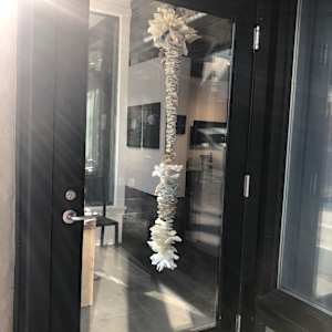 SIPHONOPHORA 1 by STEPHANIE HARGRAVE 