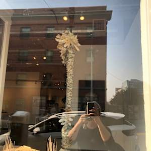 SIPHONOPHORA 1 by STEPHANIE HARGRAVE 