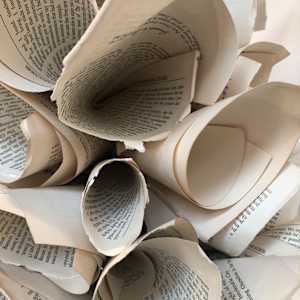 SIPHONOPHORA 2 by STEPHANIE HARGRAVE 