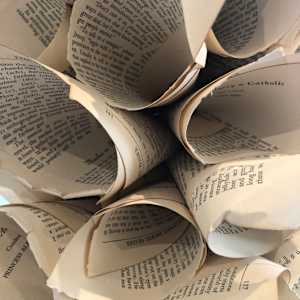 SIPHONOPHORA 2 by STEPHANIE HARGRAVE 