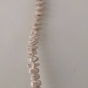 SPINE (frost white no 1) by STEPHANIE HARGRAVE 