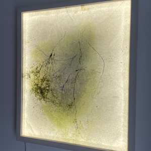 Perception (on its head) by Nina Fraser 