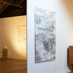 Deliquesce exhibition by Nina Fraser 