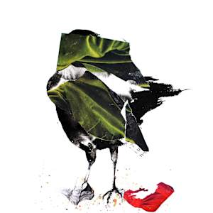 Crow by Nina Fraser, Image 4.
