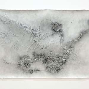 Entre raízes by Nina Fraser, Image 8.