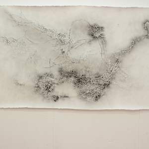 Entre raízes by Nina Fraser, Image 1.