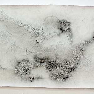 Entre raízes by Nina Fraser, Image 6.