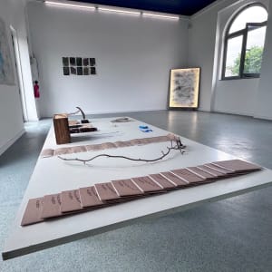 Vegetal Matters by Nina Fraser 