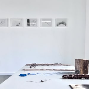 Vegetal Matters by Nina Fraser 